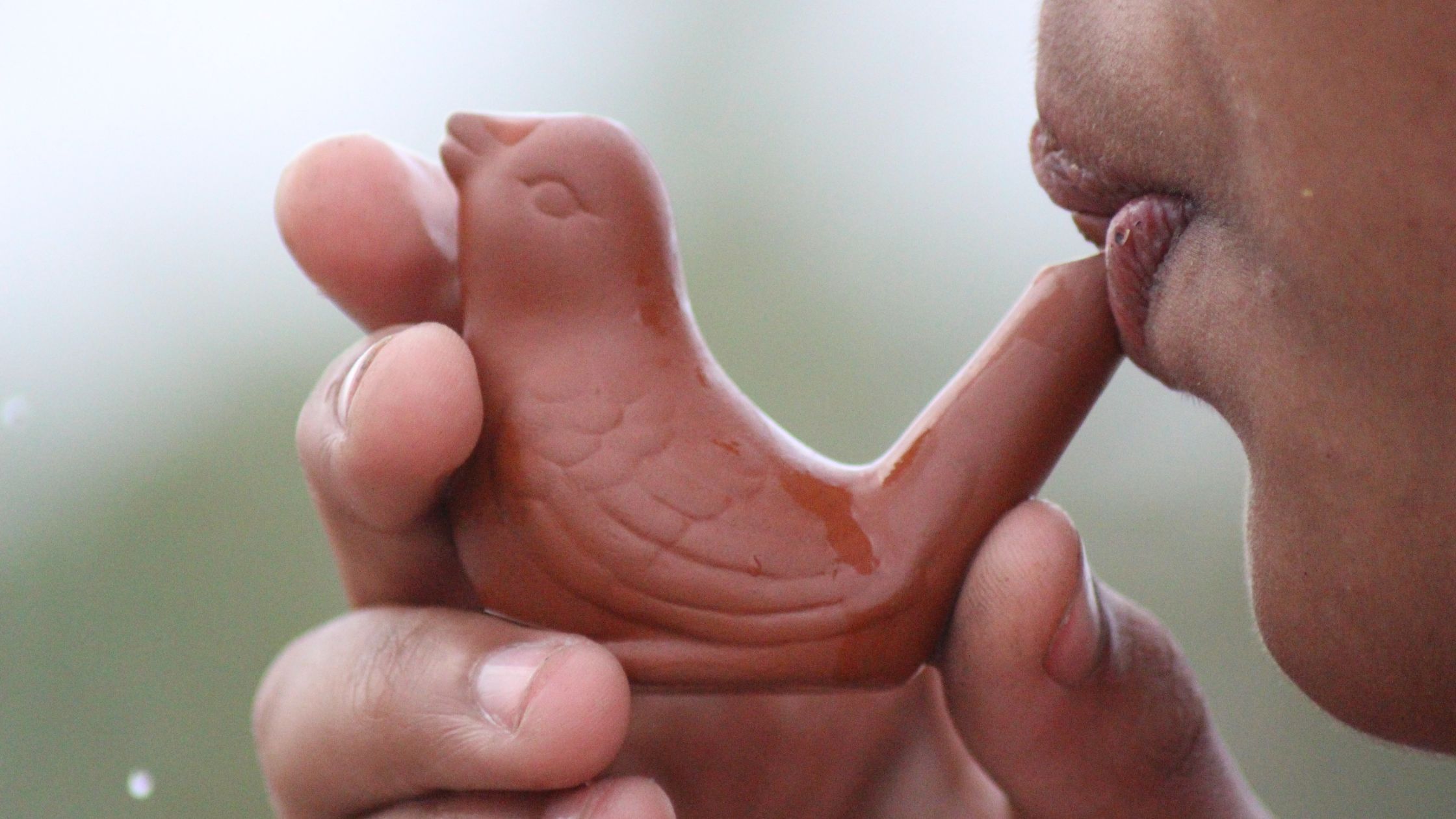 fischietto per uccellini