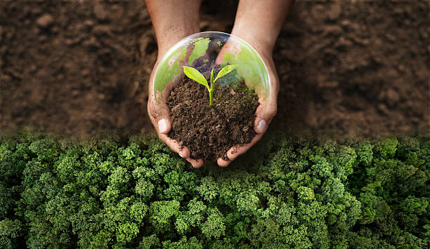 Customizable ecological gadgets